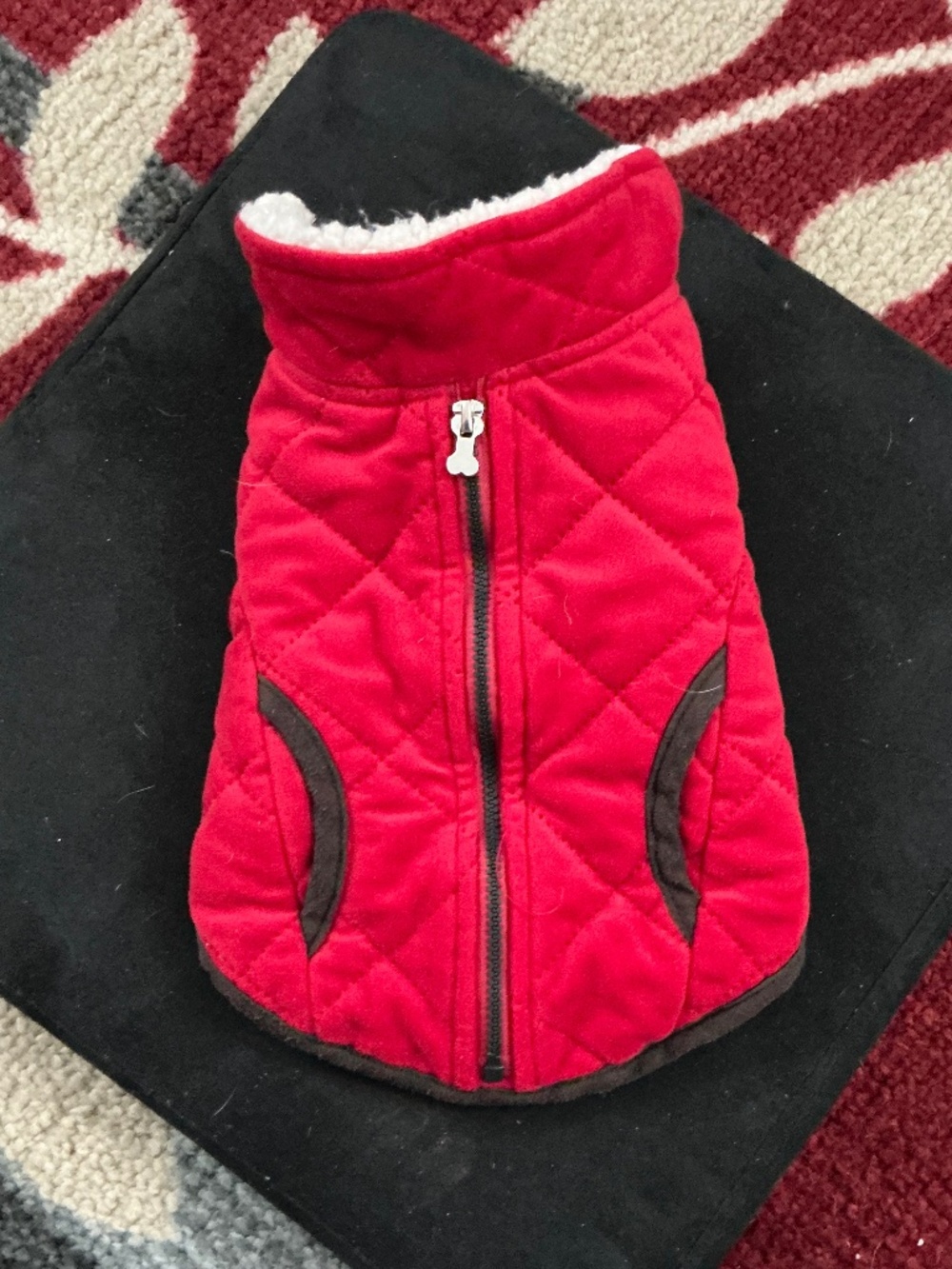 Dog Winter Coat XS